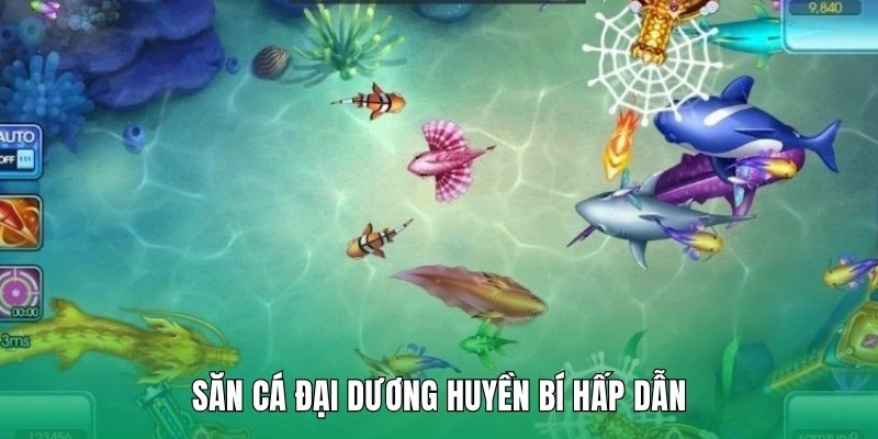 Săn cá đại dương huyền bí hấp dẫn