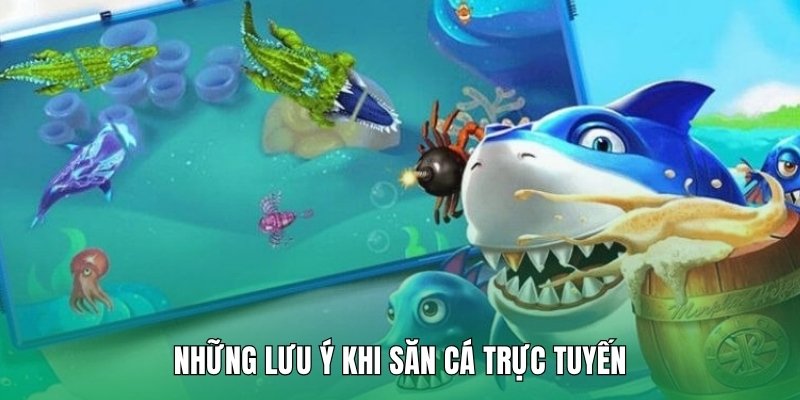 Những lưu ý khi săn cá trực tuyến